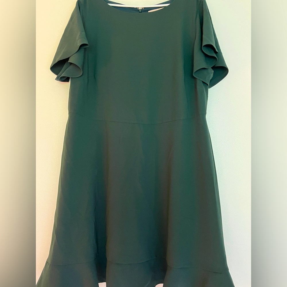 Loft Ruffle Sleeve Sheath Dress